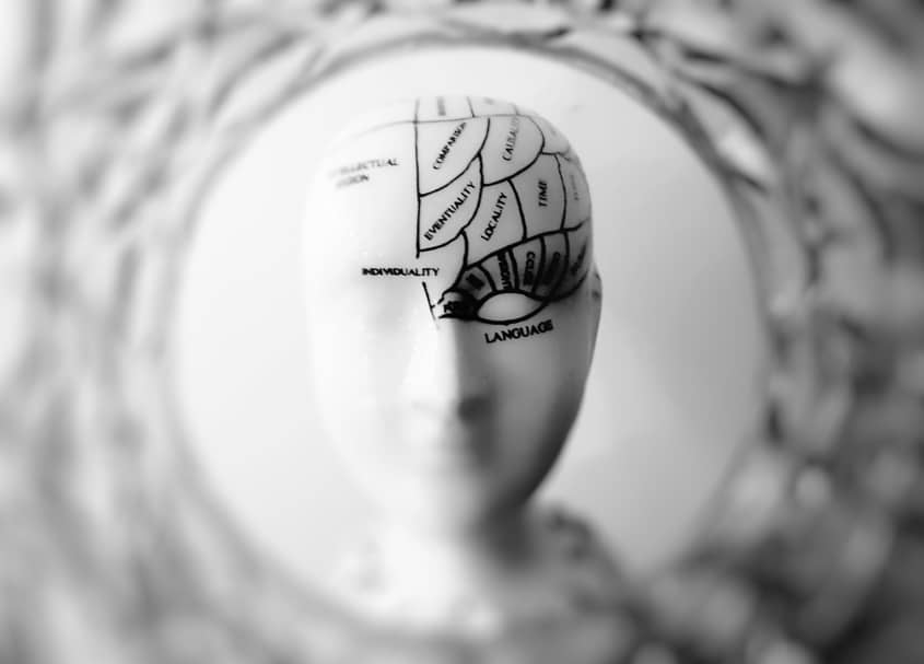 A bust symbolising functions for different regions of the brain